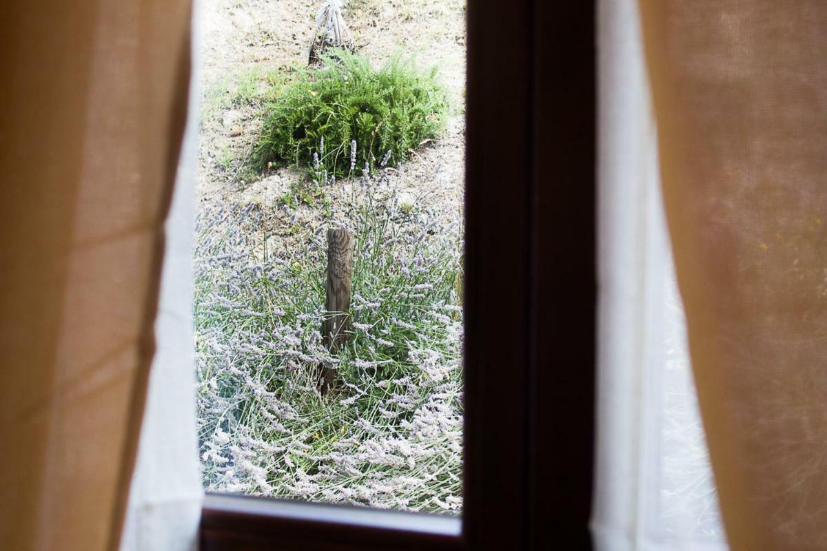 Agriturismo La Ca Veja Monforte dʼAlba Buitenkant foto