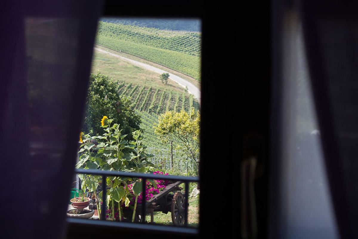 Agriturismo La Ca Veja Monforte dʼAlba Buitenkant foto